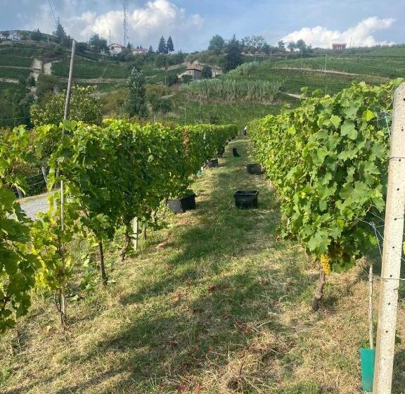 庭の見える1ベッドルームアパートメント, Cà Tinola