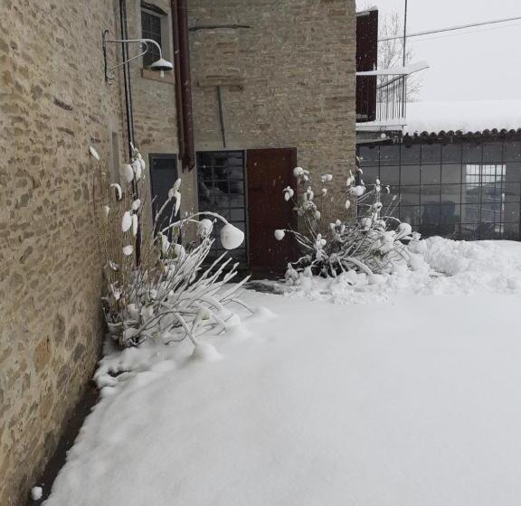 庭の見える1ベッドルームアパートメント, Cà Tinola