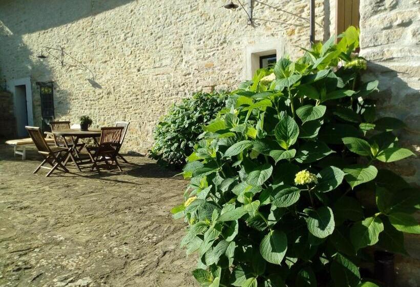 1ベッドルームアパートメント, Cà Tinola