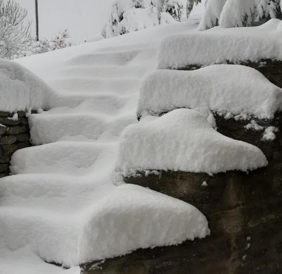 1ベッドルームアパートメント, Cà Tinola