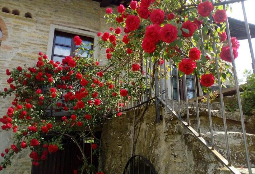 庭の見える1ベッドルームアパートメント, Cà Tinola