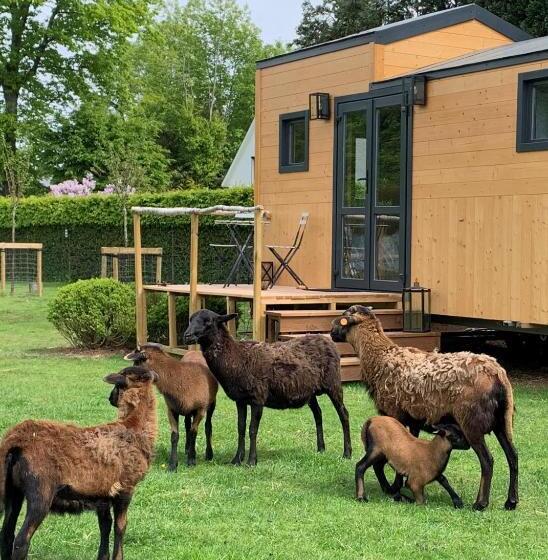 Шале 1 Спальня, Joly Tiny House