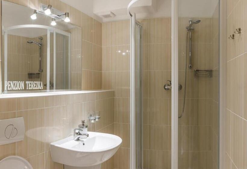 غرفة قياسية, Penzion Terezka