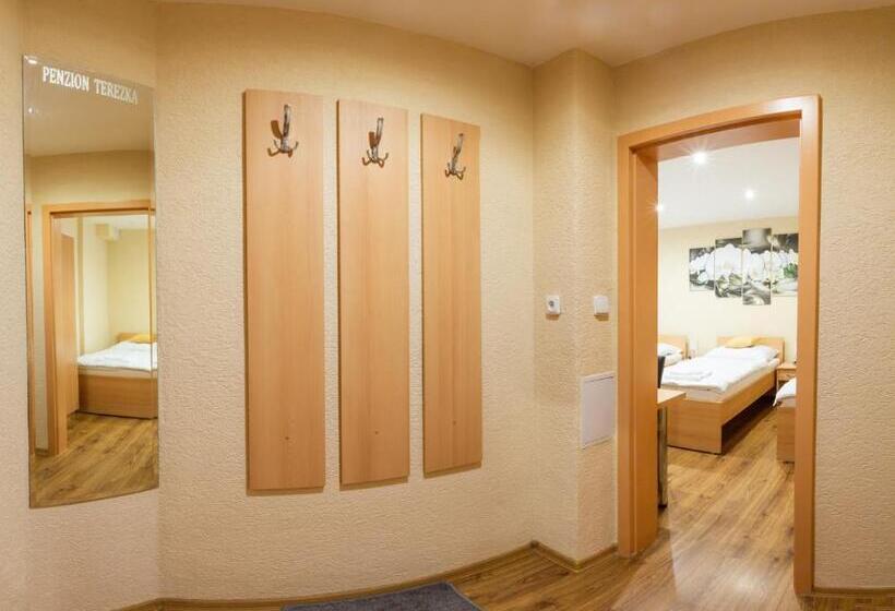 带露台的标准房间, Penzion Terezka