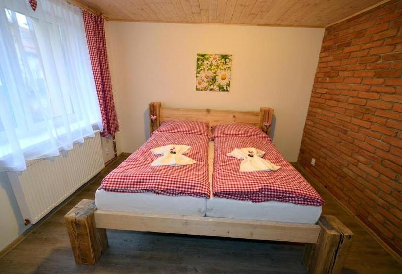 غرفة قياسية مع حمام خارجي, Penzion U Lípy