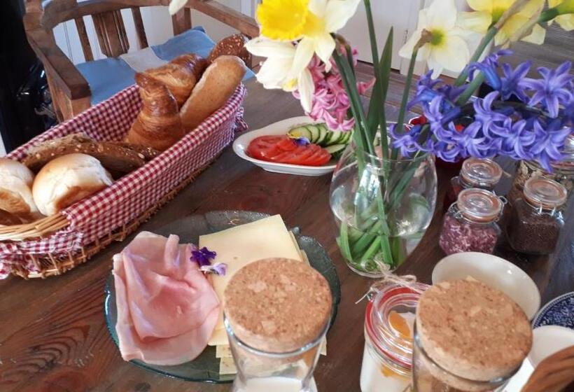 סטודיו דלוקס, B & B  Droom In De Polder De Suite Met Prive Sauna