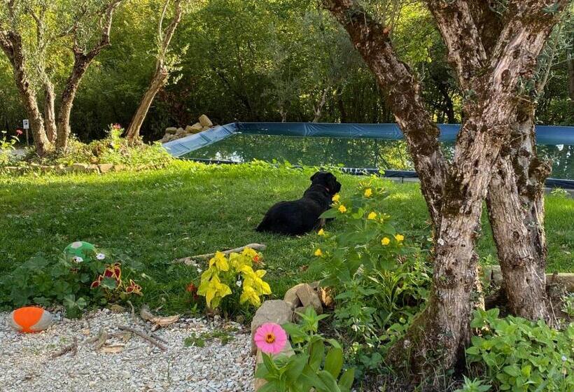 חדר משפחתי, Casa Al Fondo