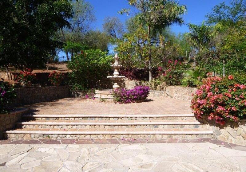 Студио Стандарт Кровать Кинг, Loma De Guadalupe Alamos Sonora