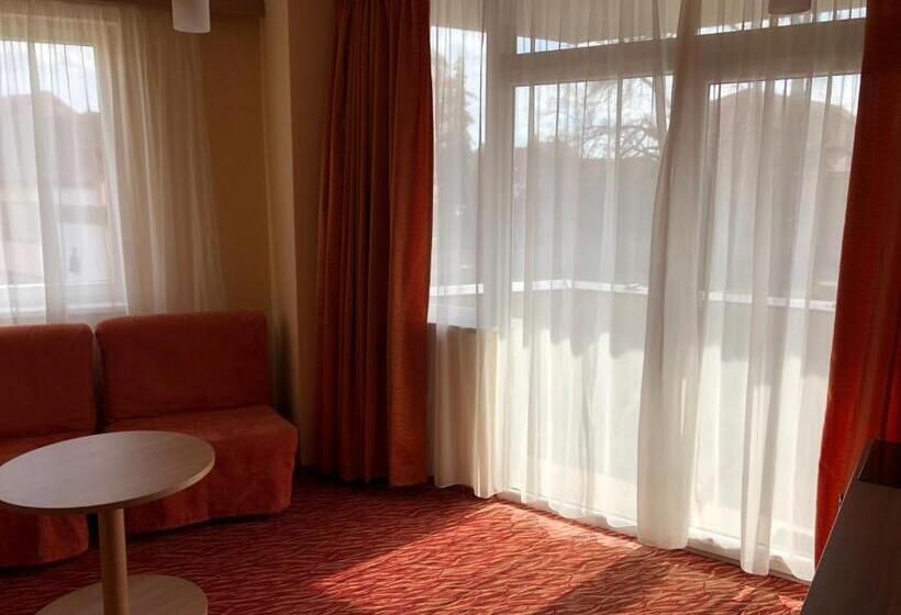 חדר סטנדרט, Opera