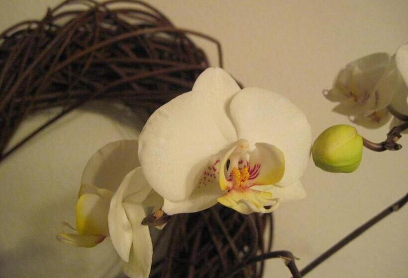 디럭스 룸, Landpension Zur Hainbuche