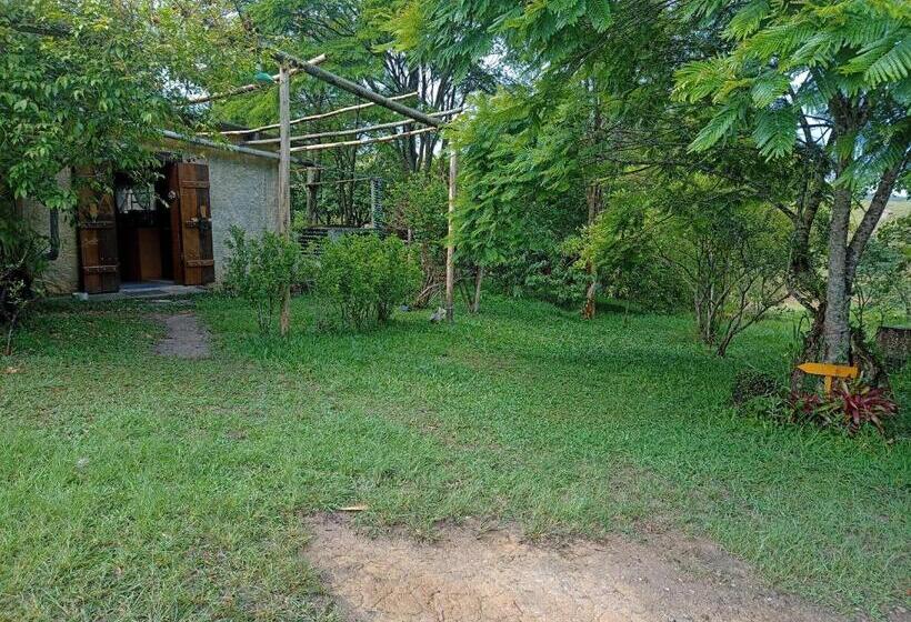 スイート, Recanto Cheio De Cheiro