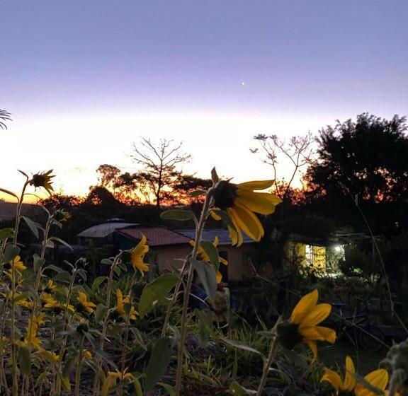 スイート, Recanto Cheio De Cheiro