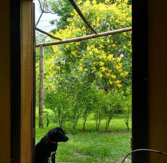 スイート, Recanto Cheio De Cheiro