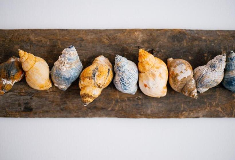 Номер Стандарт Индивидуальный, Pension Mai Scholle