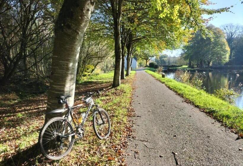 Люкс Повышенной Комфортности, Central Brittany B And B