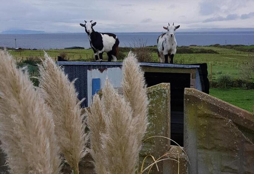 חדר סטנדרט נוף לגינה, Sunrise View