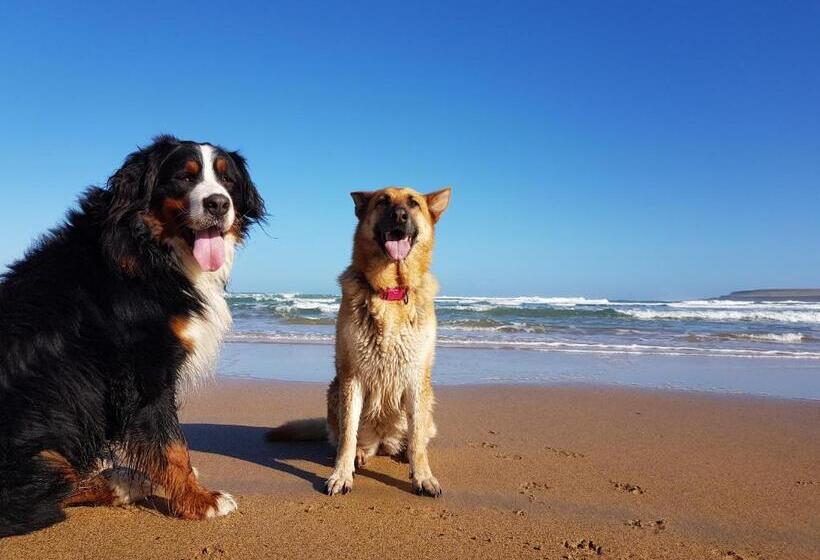 חדר דלוקס נוף לים, Sunrise View