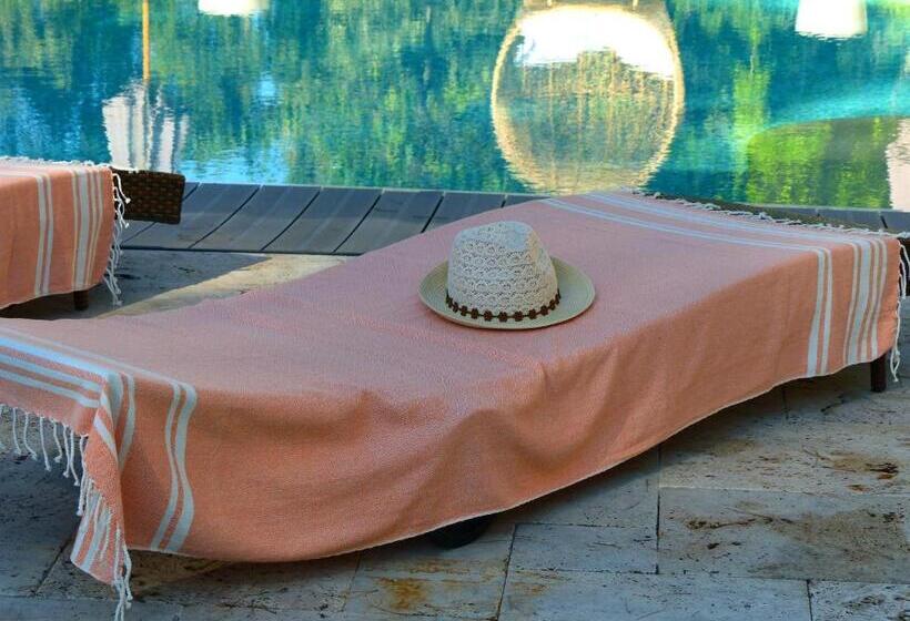 חדר סטנדרט, ô Tilia D Azur