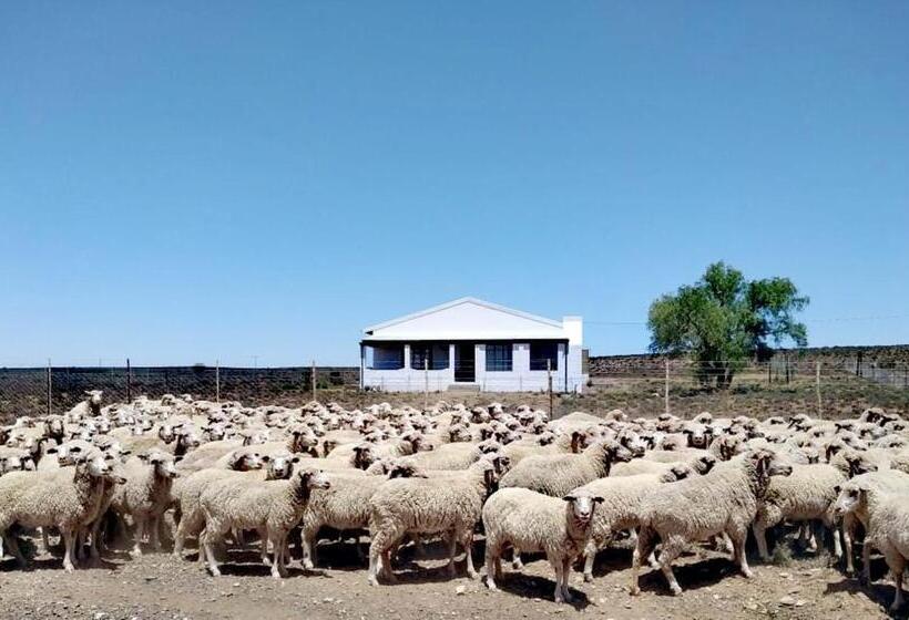 スタンダードルーム, Karoo Secret