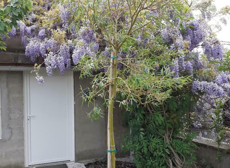 غرفة قياسية, Chambres D Hôtes Gobillon