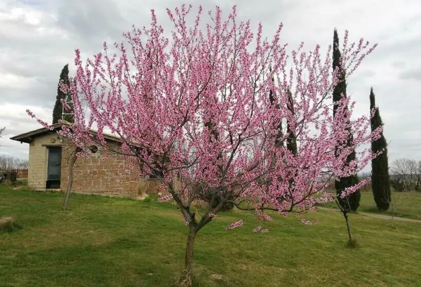 庭の見える１ベッドルームアパートメント, Agriturismo Podere Bianca Maria