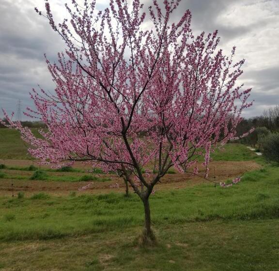 דירת חדר נוף לגינה, Agriturismo Podere Bianca Maria