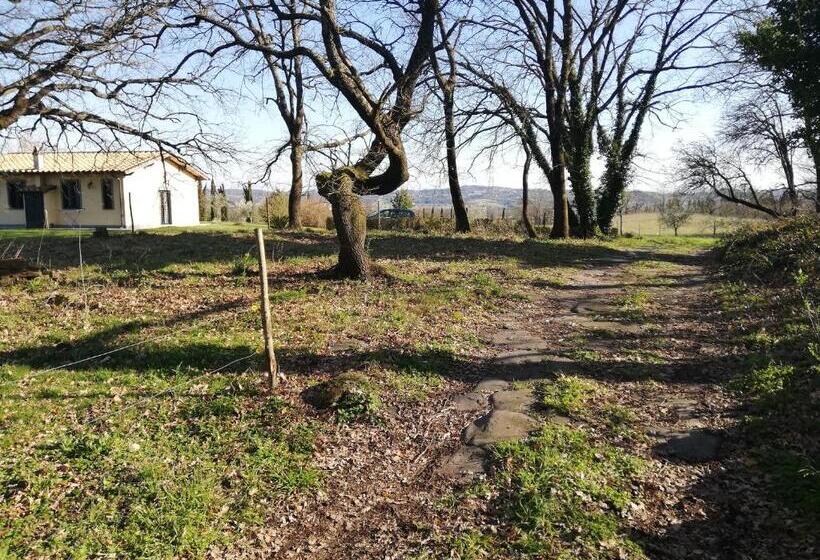 Апартаменты 1 Спальня Вид на Сад, Agriturismo Podere Bianca Maria