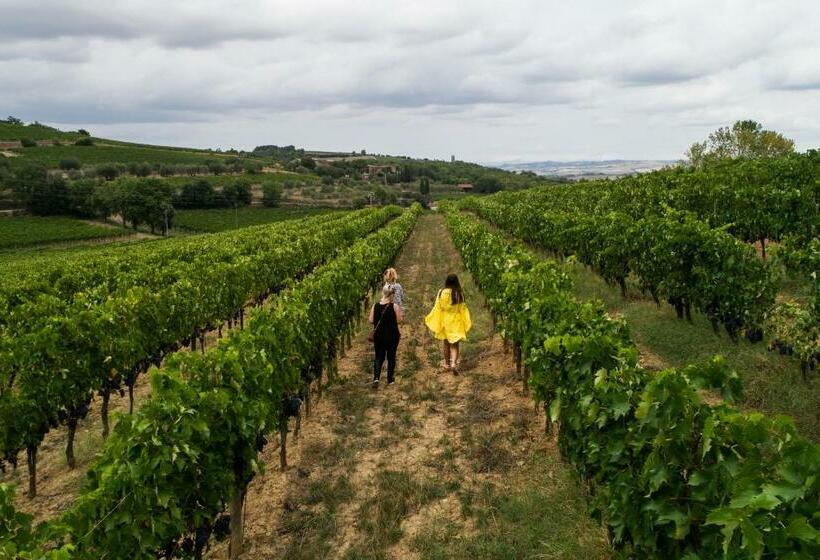 اتاق لوکس, Wine Estate Paradiso Di Cacuci