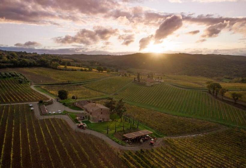 اتاق لوکس, Wine Estate Paradiso Di Cacuci