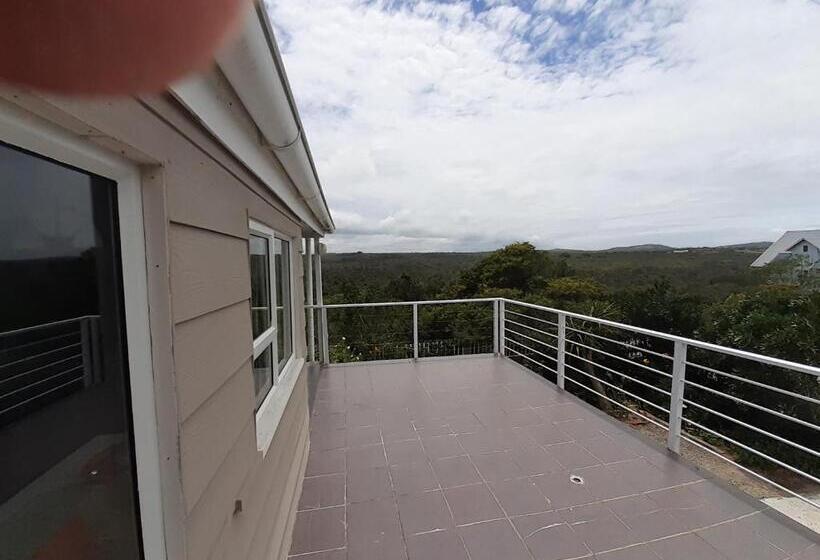 חדר אקונומי, De  Nessie