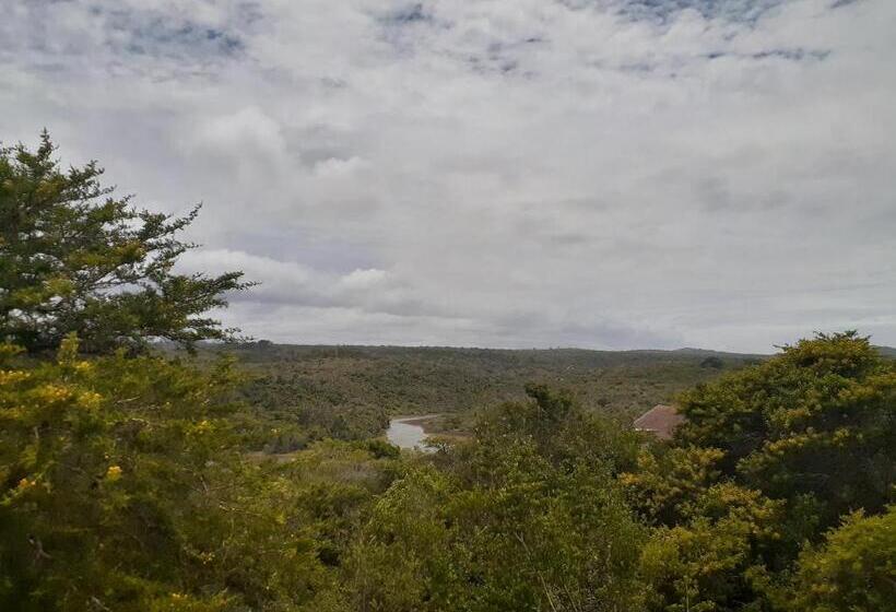 בקתת חדר, De  Nessie