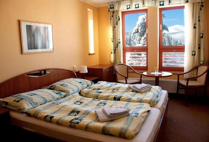 חדר סטנדרט עם מיטת קינג, Renerovka 93