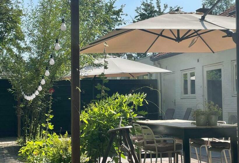 اتاق لوکس, T Zeeuwse Licht