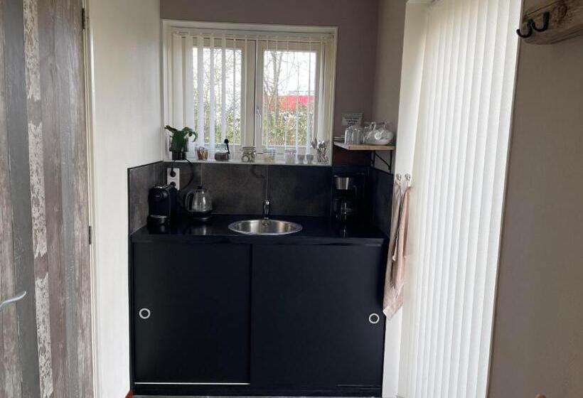 اتاق لوکس, T Zeeuwse Licht