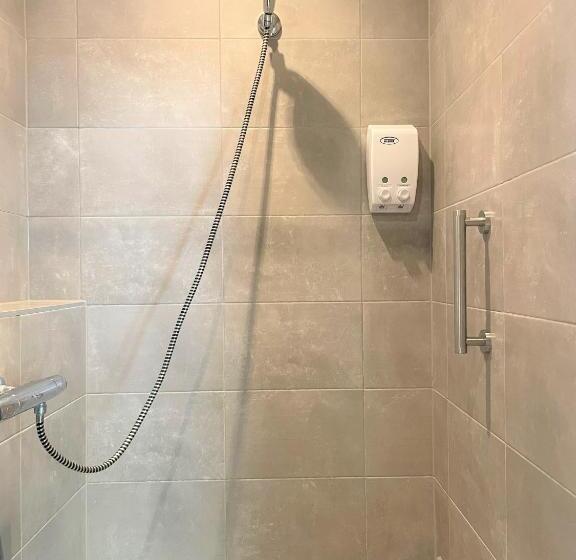 اتاق لوکس, T Zeeuwse Licht