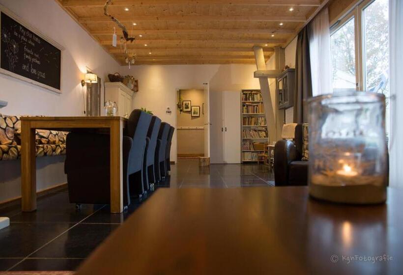 اتاق استاندارد, T Zeeuwse Licht