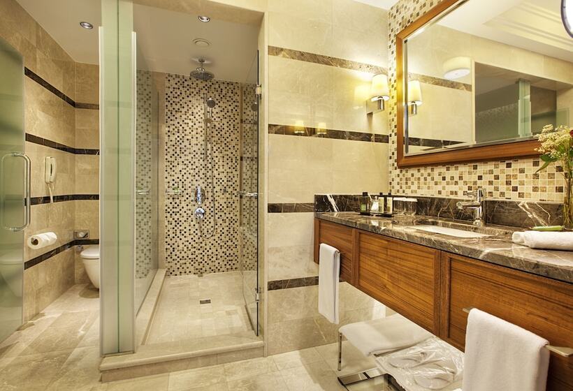 اتاق سوپریور با تخت بزرگ, Dedeman Zonguldak