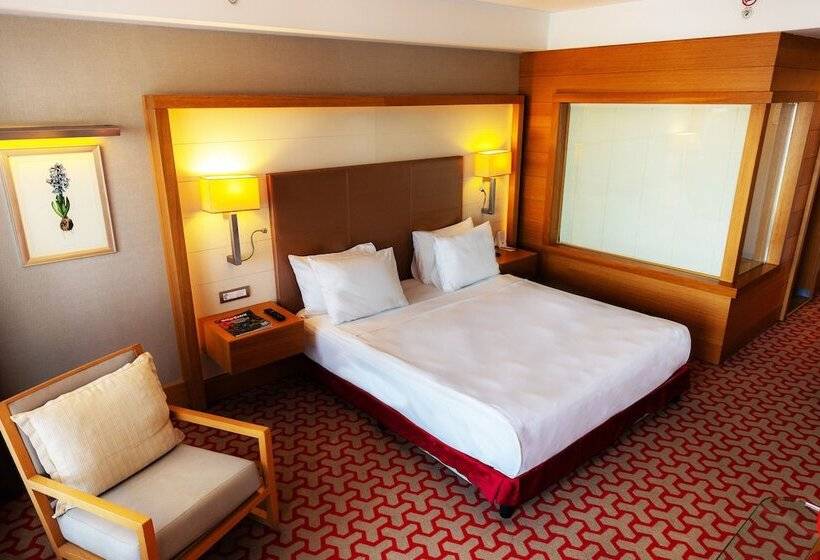 Büyük Çift Kişilik Yataklı Lüks Oda, Divan  Bursa