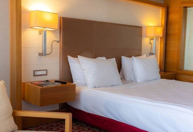 Büyük Çift Kişilik Yataklı Lüks Oda, Divan  Bursa