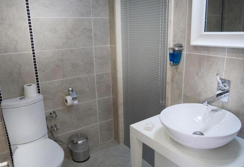 اتاق استاندارد, Lion City