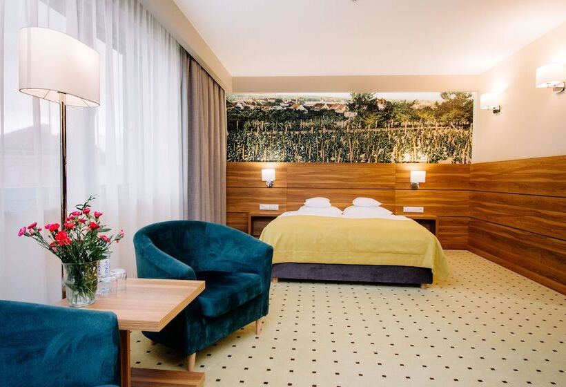 اتاق استاندارد یک نفره, Ruben Hotel Zielona Góra