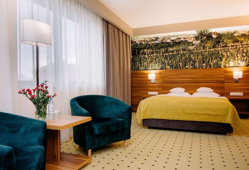 اتاق راحتی, Ruben Hotel Zielona Góra