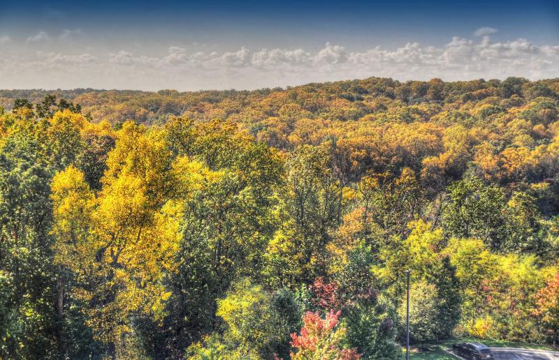 スーペリアファミリールーム, Scandic Paasi