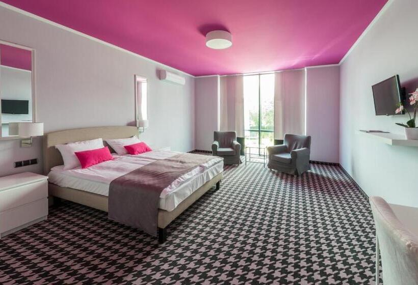 带1个卧室的公寓, Sękowski