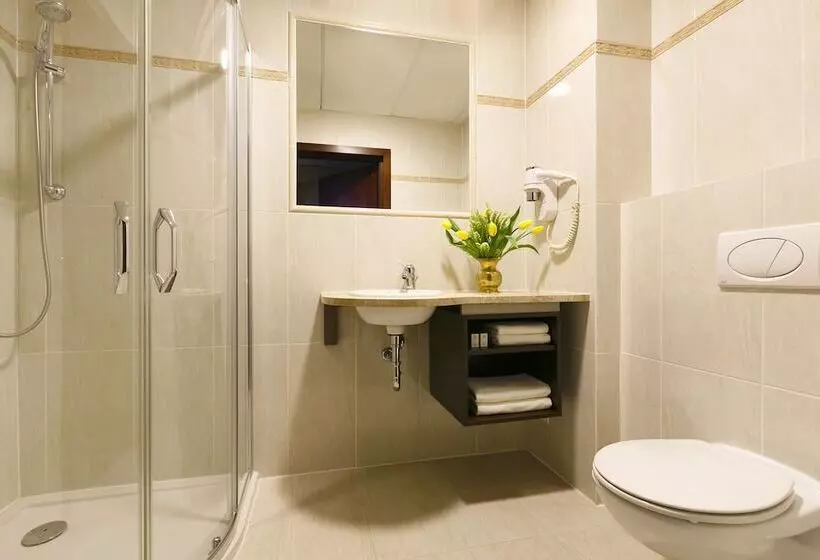 اتاق استاندارد یک نفره, Turówka Hotel & Spa