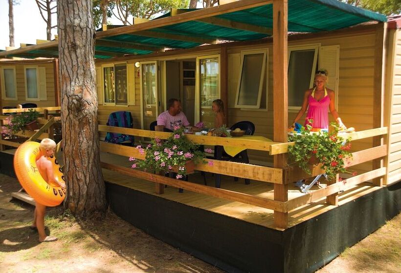 کلبه ییلاقی, Hu Roma Camping In Town