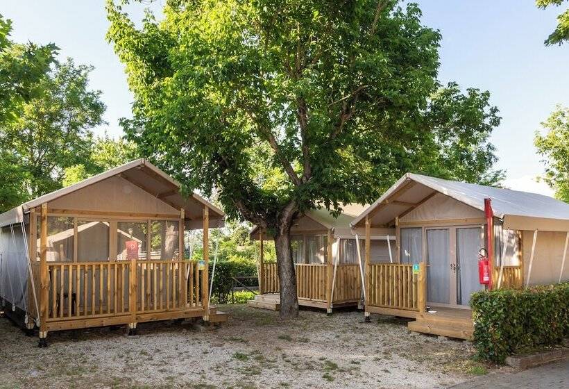 Standard Tent, Hu Roma Camping In Town