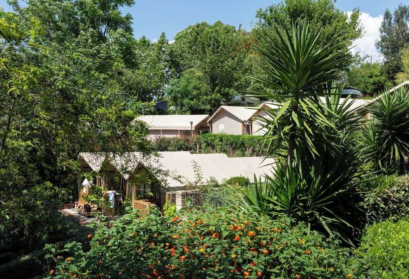 Standard Tent, Hu Roma Camping In Town