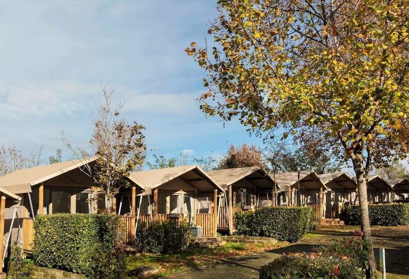 Standard Tent, Hu Roma Camping In Town