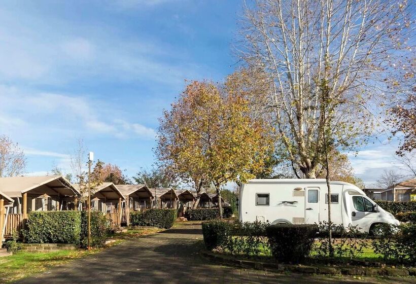 Standard Tent, Hu Roma Camping In Town